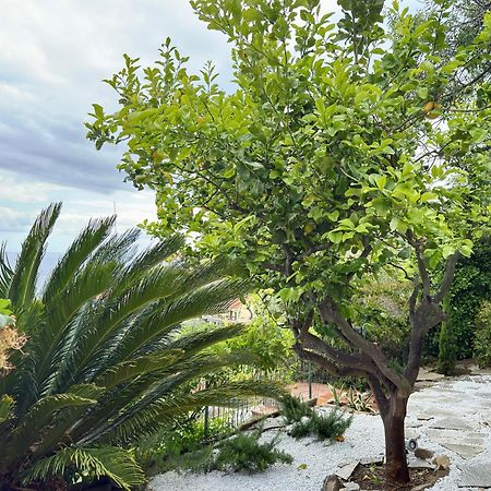 Villa Cielo Costarainera Exteriér fotografie