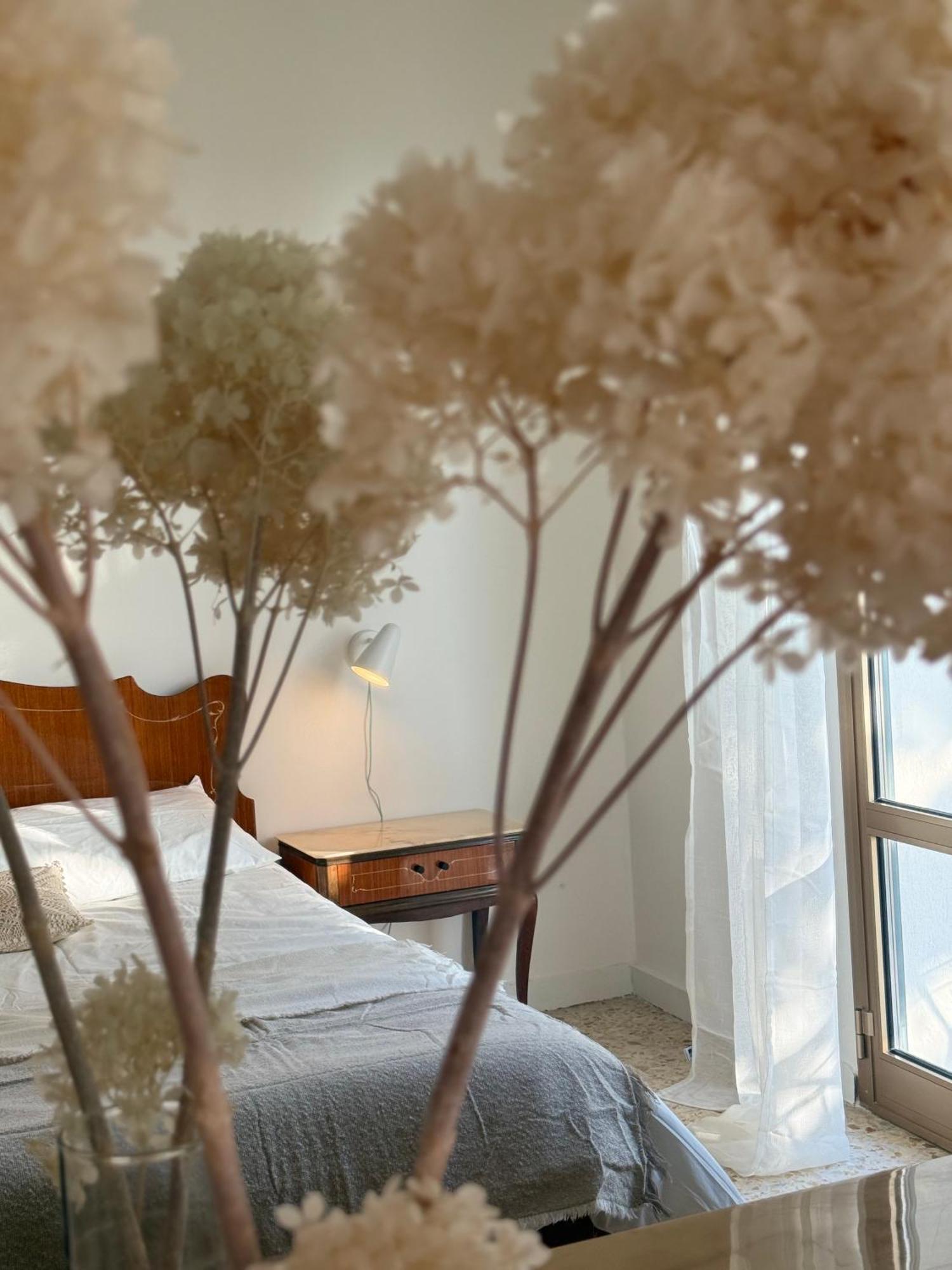 Villa Cielo Costarainera Exteriér fotografie