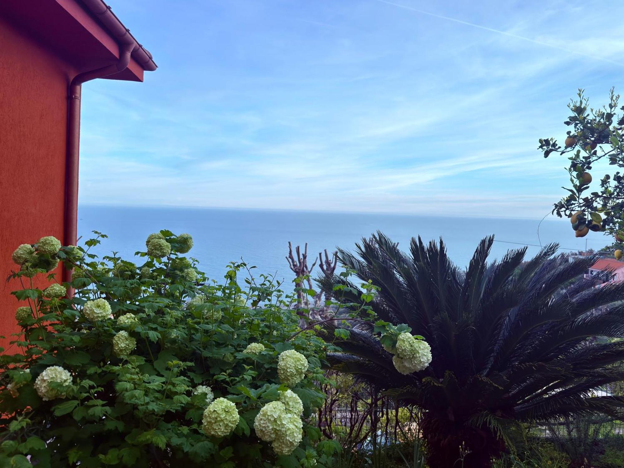 Villa Cielo Costarainera Exteriér fotografie